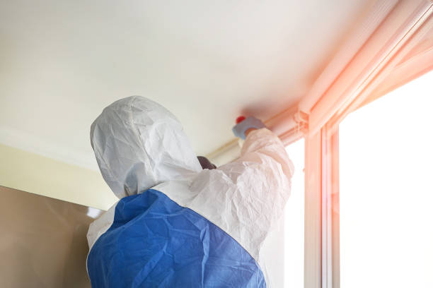 Why You Should Choose Our Mold Remediation Services in Lincoln Park, PA